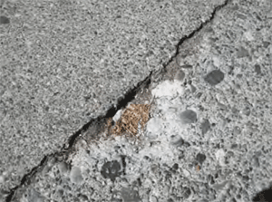 Crack in road a North Delta obstacle to walkers